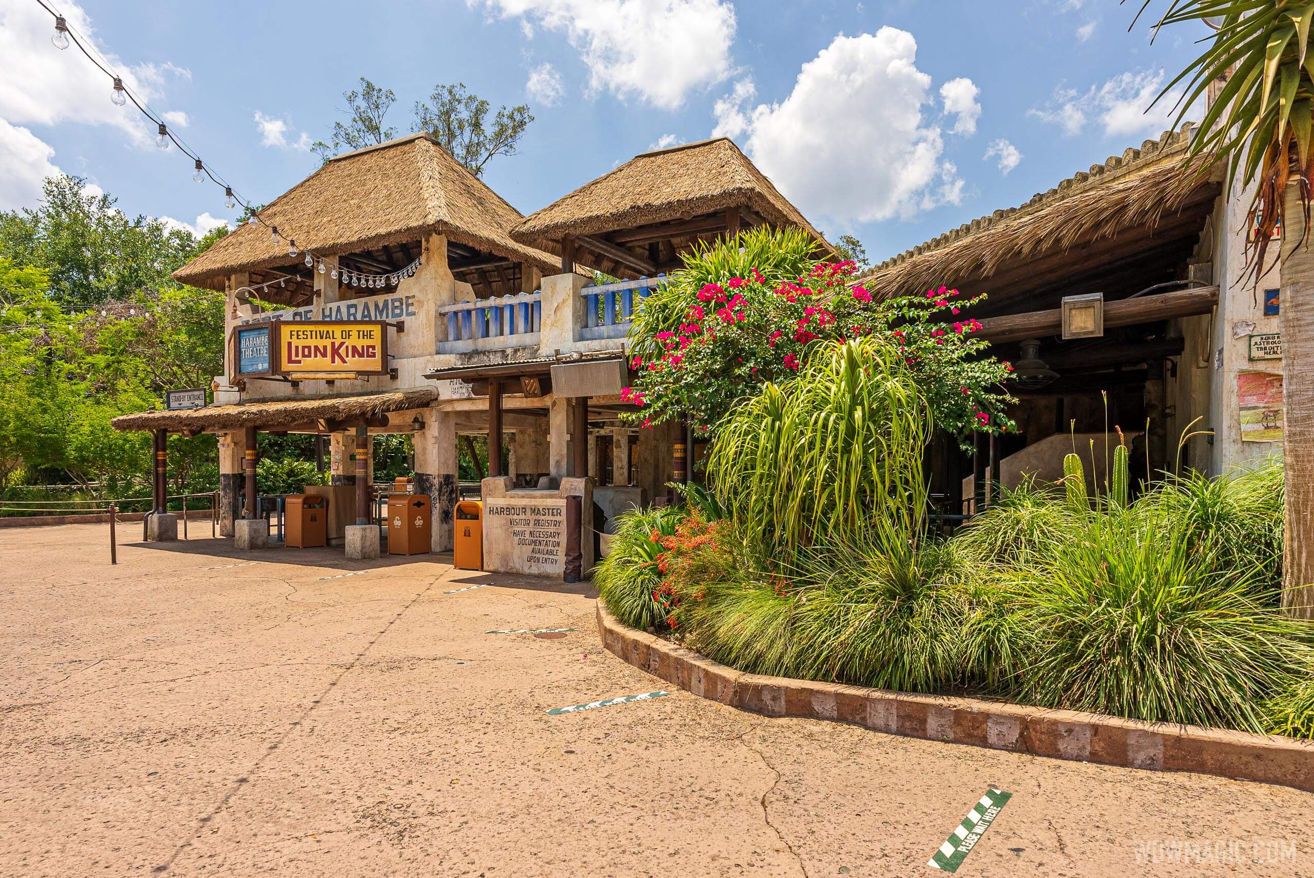 Festival of the Lion King Entrance